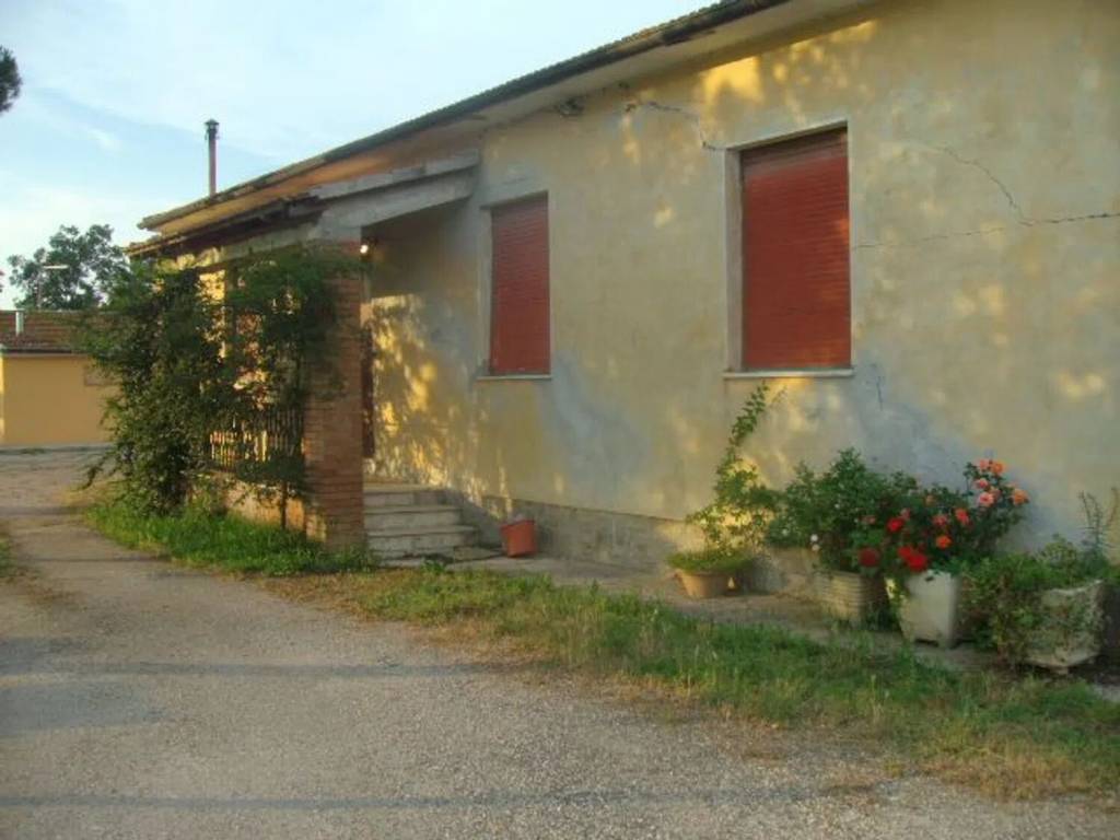 Rustico / casale a Grosseto in Rugginosa S.N.C. - Foto 3