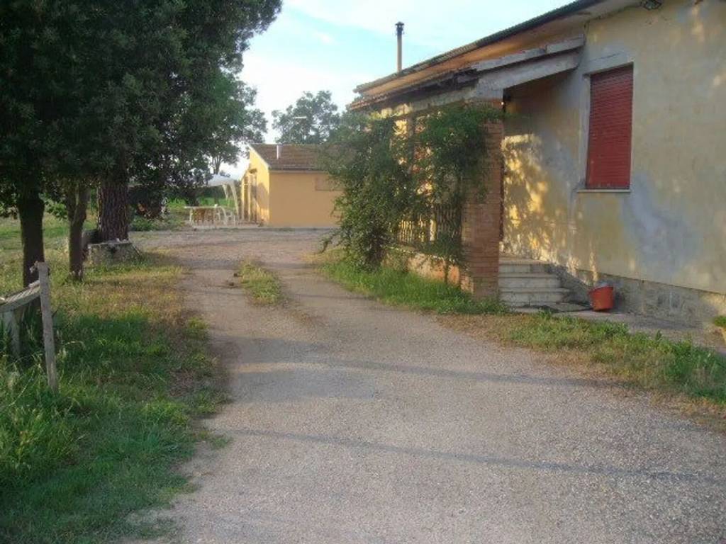 Rustico / casale a Grosseto in Rugginosa S.N.C. - Foto 4