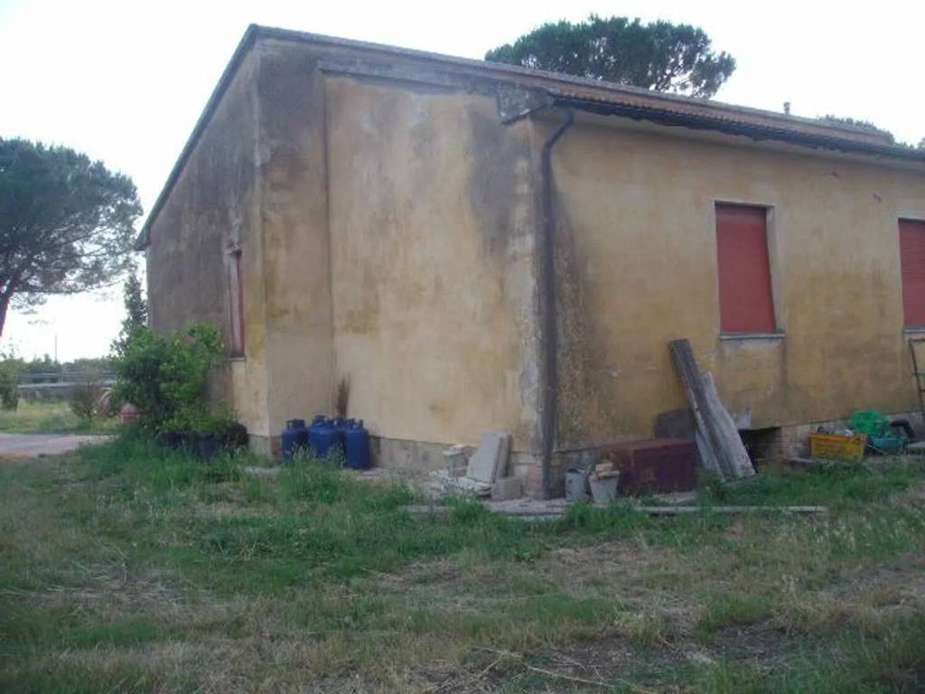 Rustico / casale a Grosseto in Rugginosa S.N.C. - Foto 5