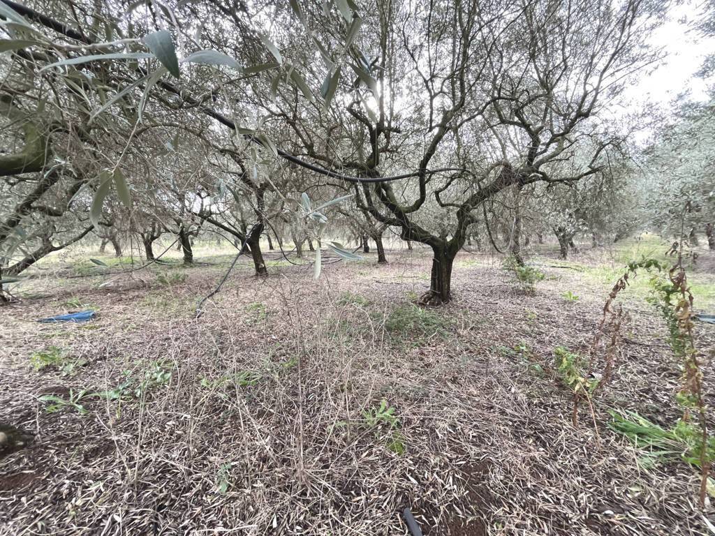 Terreno a Fondi in Via Fosso di Lenola - Foto 5