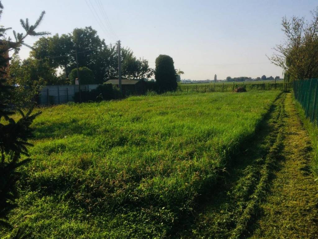 Terreno a Correzzola - Foto 3