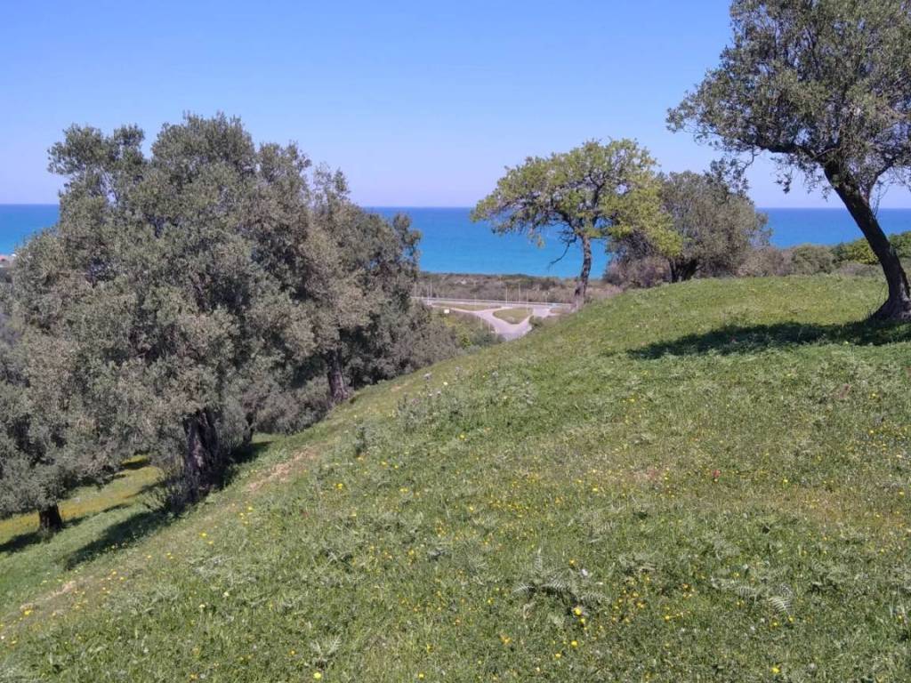 Terreno a Cirò in contrada Cappellieri - Foto 2