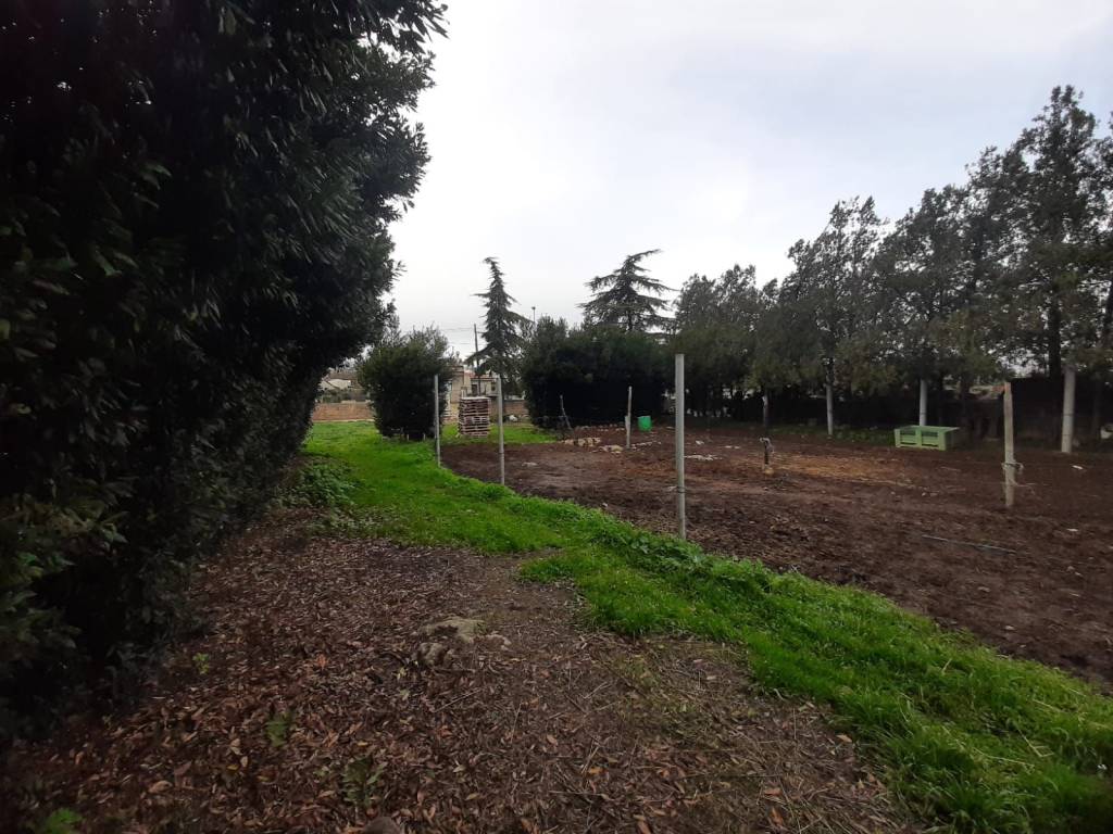 Terreno a Ragusa - Foto 2