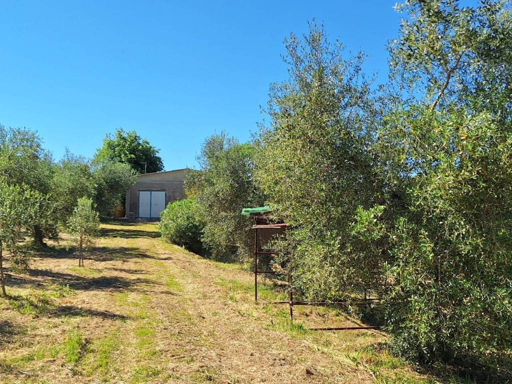 Rustico / casale a Magliano in toscana in Strada Comunale del Cimitero - Foto 3
