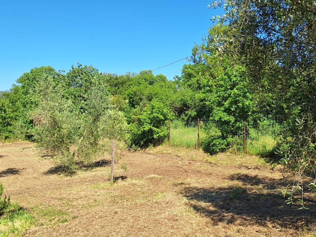 Rustico / casale a Magliano in toscana in Strada Comunale del Cimitero - Foto 5