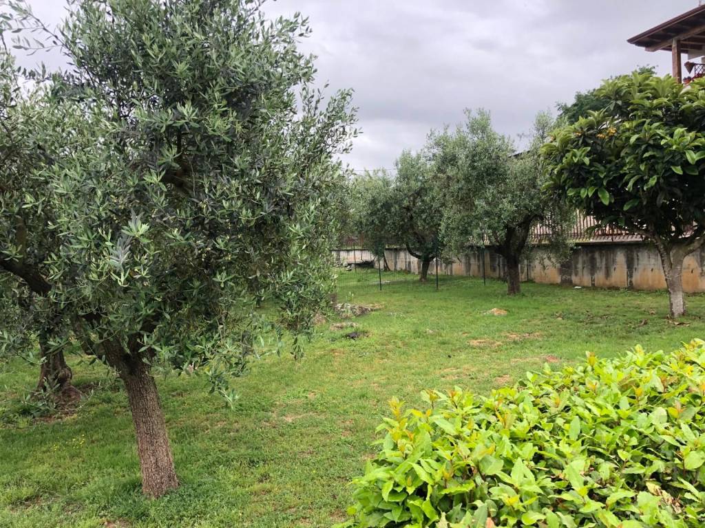 Villa a Amaseno in Località Farneti, 20 - Foto 5