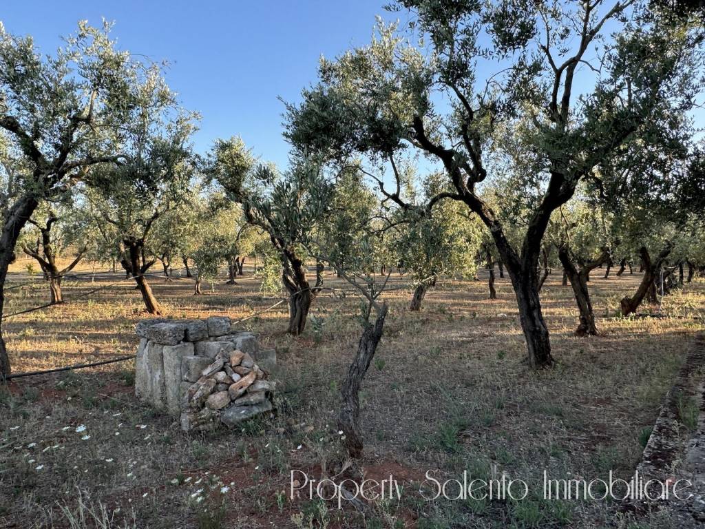 Terreno a Ugento in Strada Statale Salentina Meridionale - Foto 4