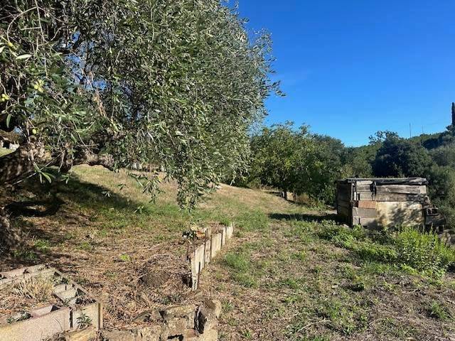 Appartamento a Magliano in toscana - Foto 2