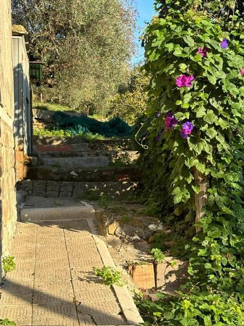 Appartamento a Magliano in toscana - Foto 4