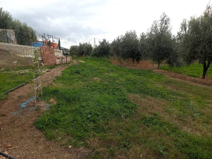 Terreno a Reggio calabria in Contrada Aretina - Foto 2