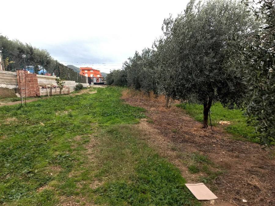 Terreno a Reggio calabria in Contrada Aretina - Foto 4