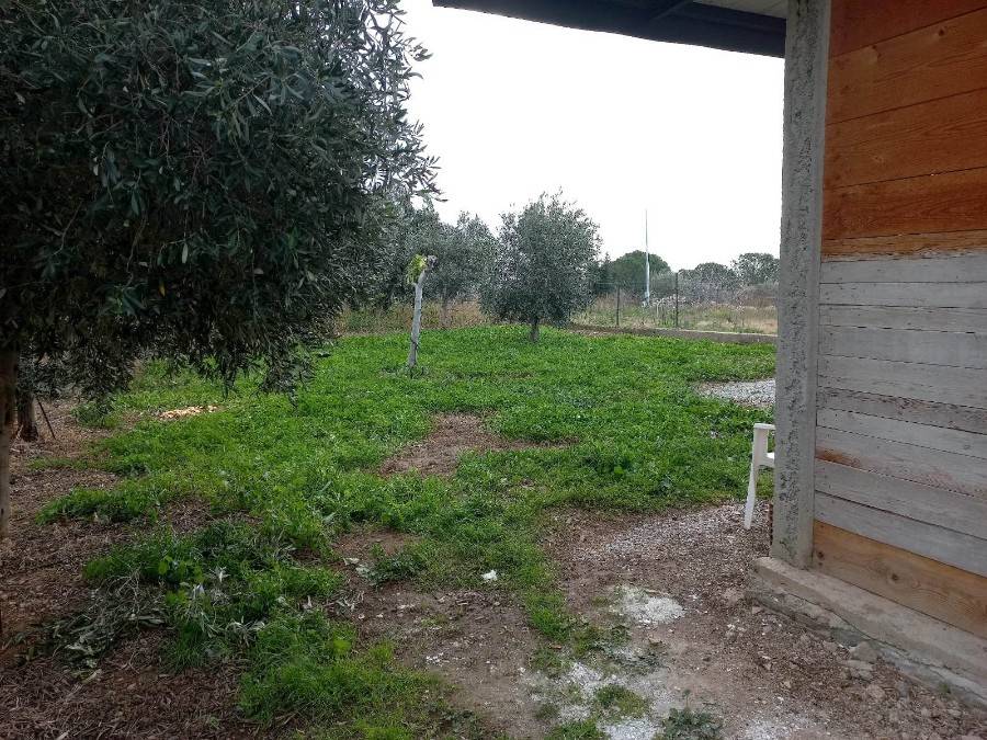 Terreno a Reggio calabria in Contrada Aretina - Foto 5