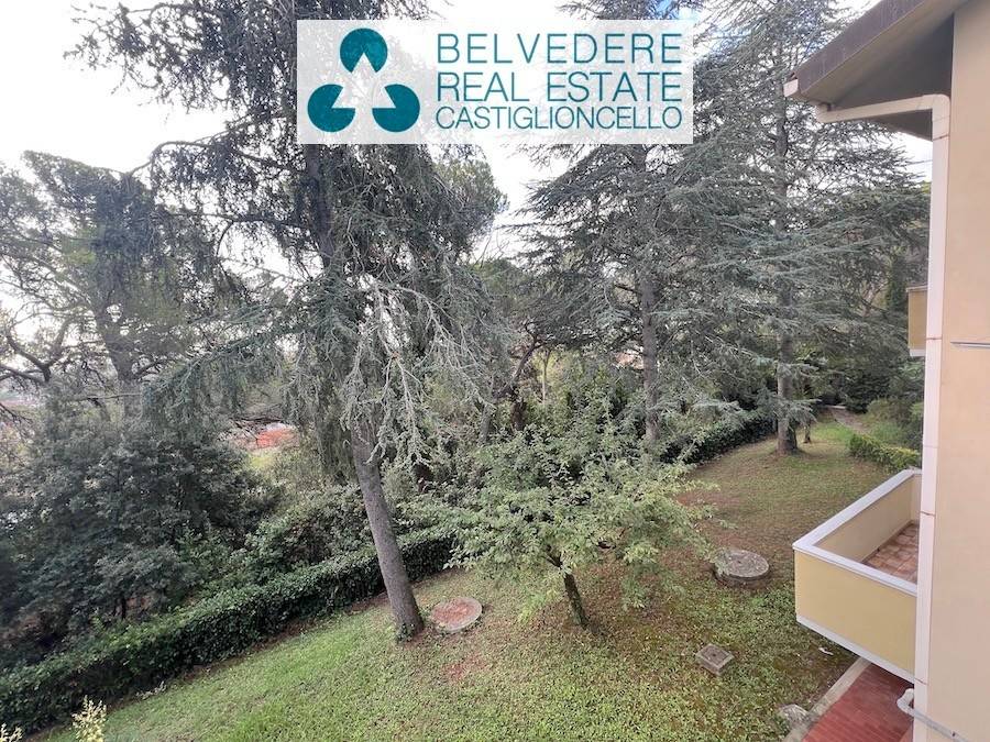 Appartamento a Rosignano marittimo in Via Tiziano Vecellio, 4 - Foto 4