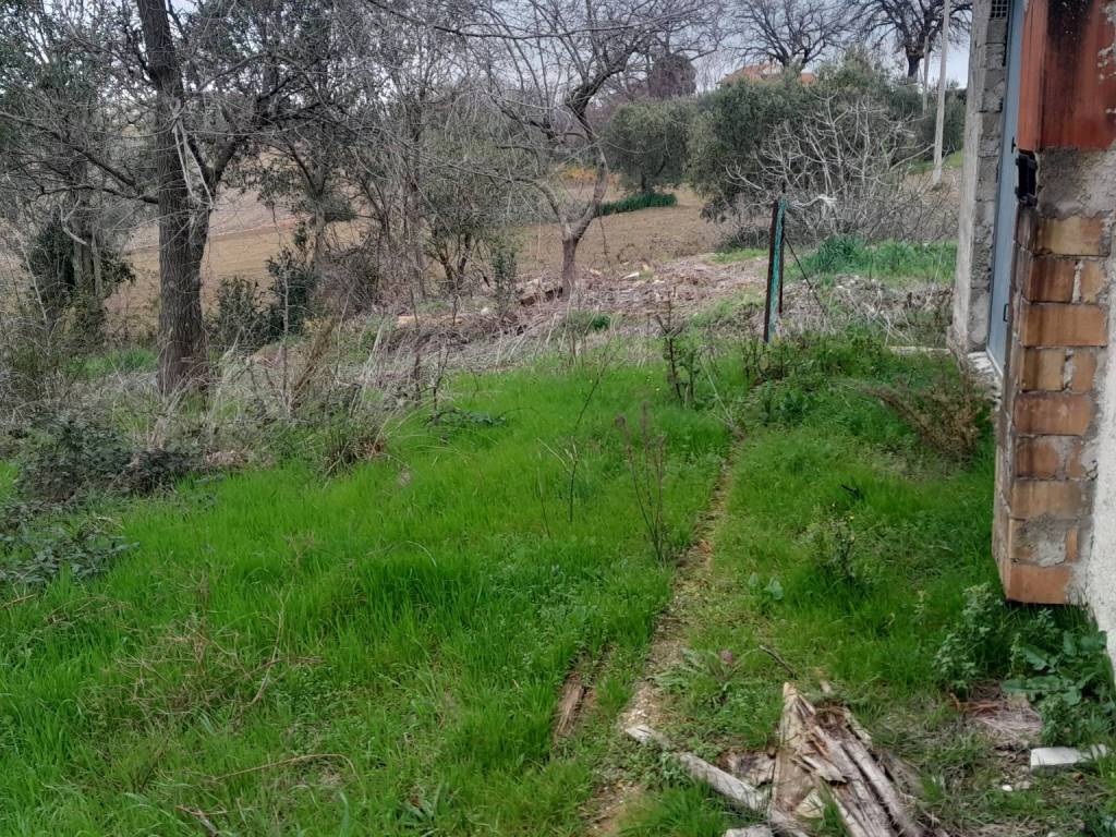 Villa a Mondavio - Foto 4