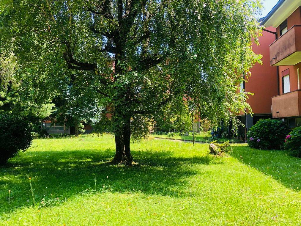 Appartamento a Barzanò in Via delle Betulle - Foto 3