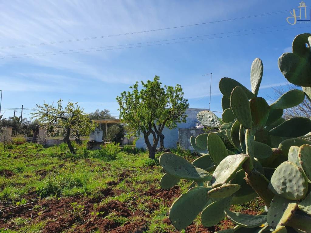 Rustico / casale a Polignano a mare in Strada Comunale Santasciano - Foto 3