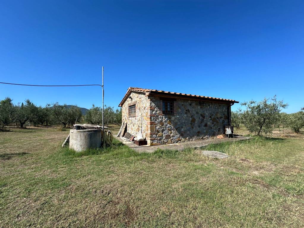 Terreno a Gavorrano in Via Guido Rossa, 76 - Foto 4