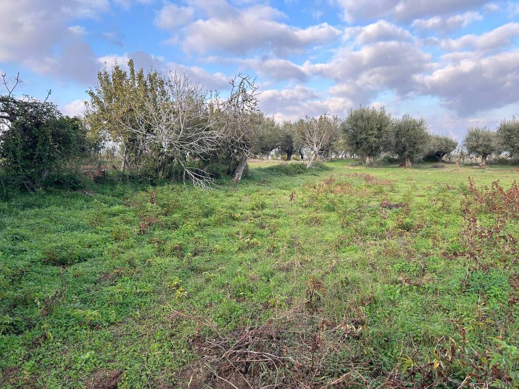 Terreno a Briatico in Via Giuseppe Garibaldi, 26 - Foto 3