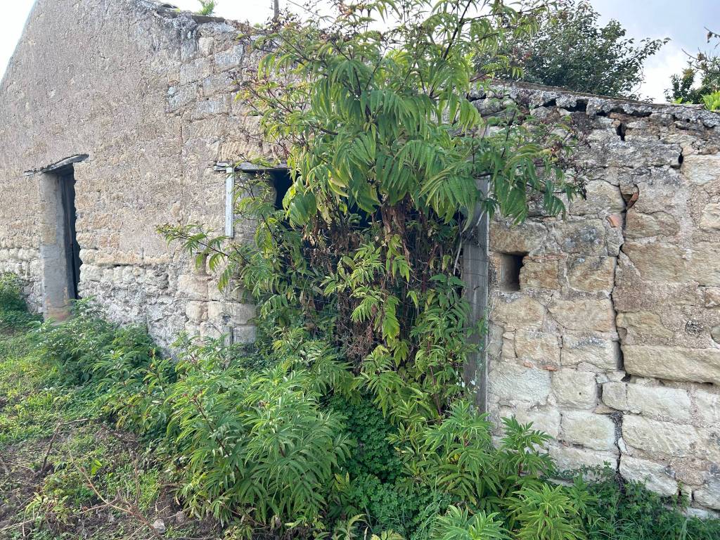Terreno a Briatico in Via Giuseppe Garibaldi, 26 - Foto 4