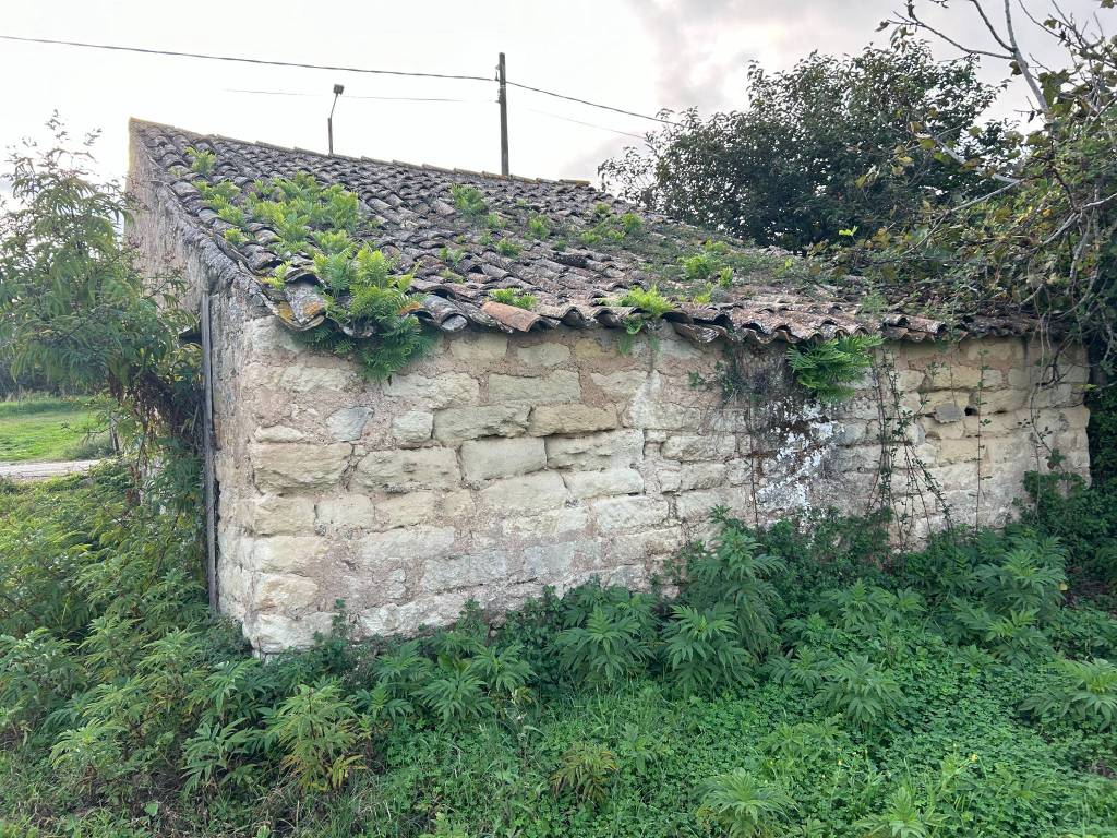 Terreno a Briatico in Via Giuseppe Garibaldi, 26 - Foto 5