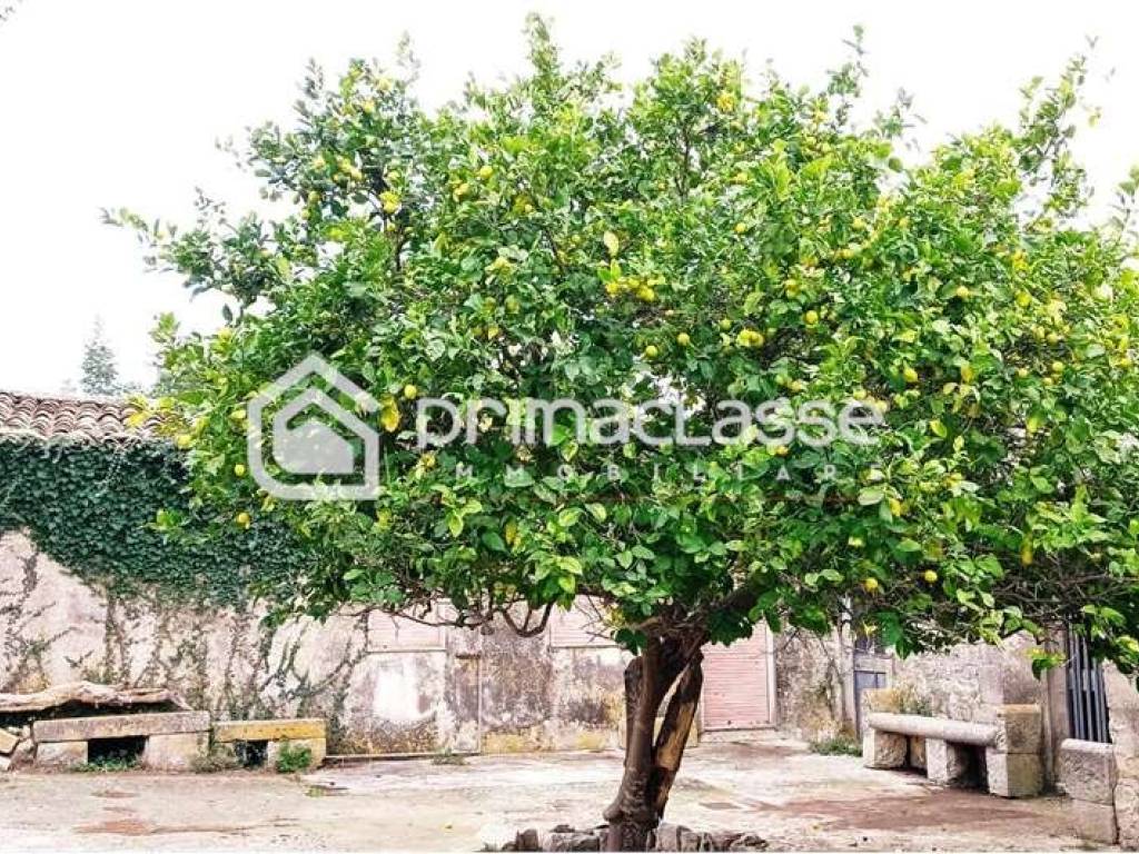 Rustico / casale a Modica - Foto 3