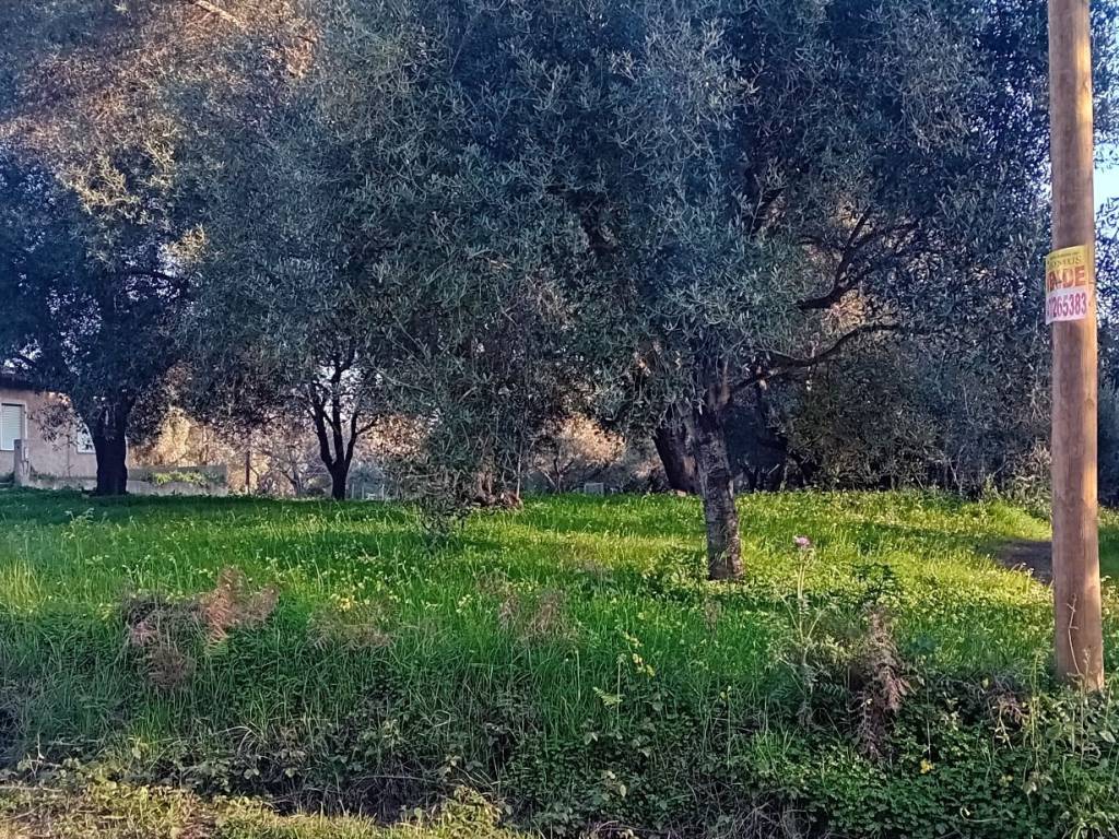 Terreno a Campo calabro in Via Matiniti Prima - Foto 4