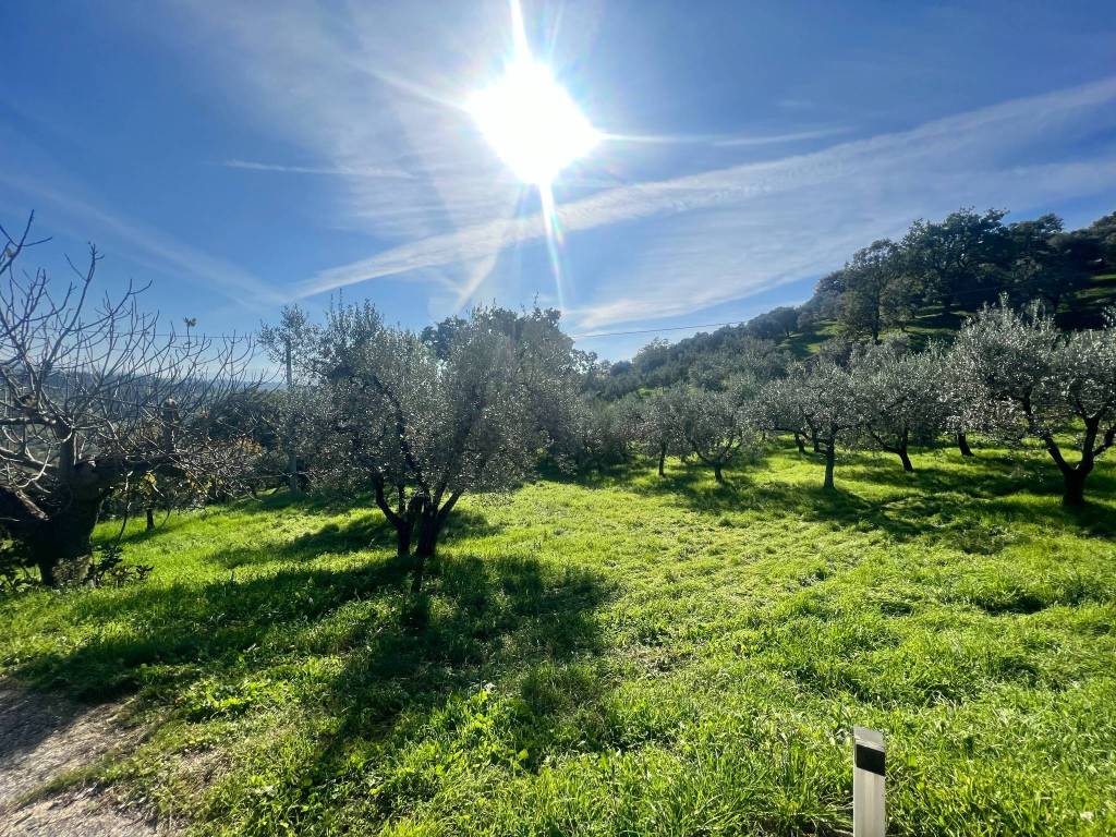 Villa a Mompeo in Casa Voltafonte - Foto 5