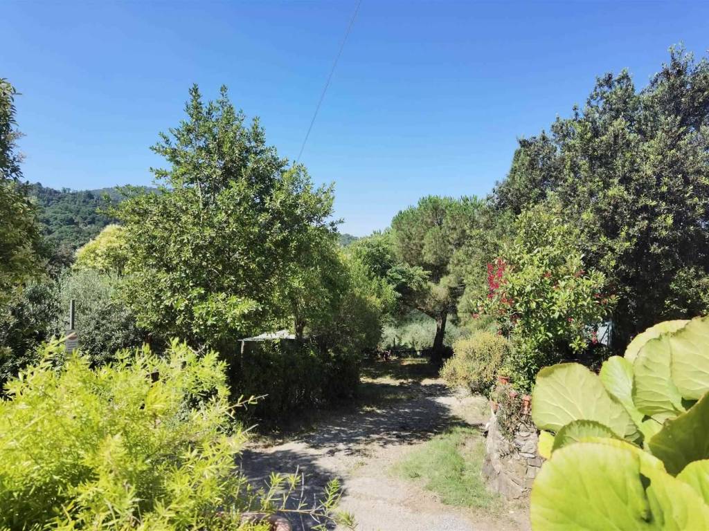Villa a Monsummano terme - Foto 5