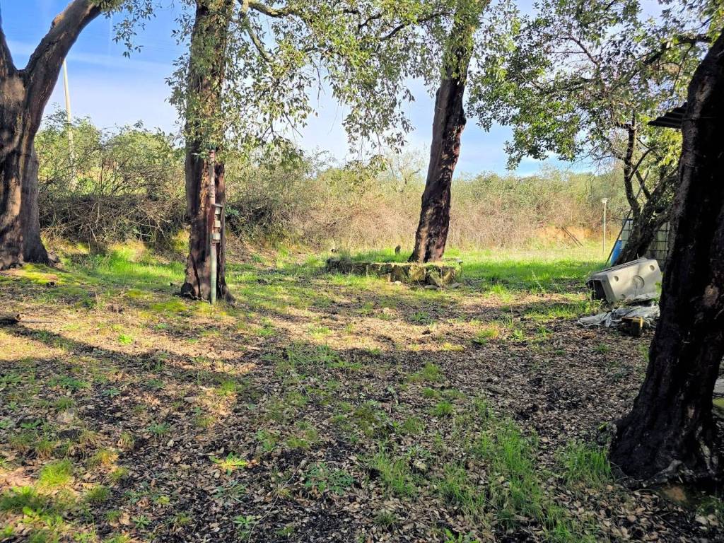 Rustico / casale a Roccastrada - Foto 2