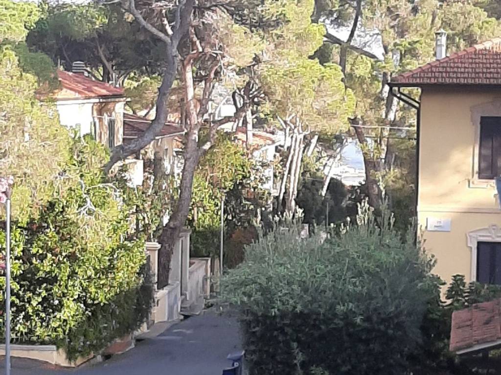 Villa a Rosignano marittimo in Via Livorno - Foto 2