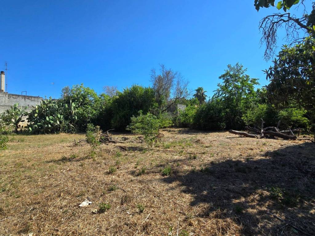 Terreno a Galatone in Via delle Serre - Foto 4