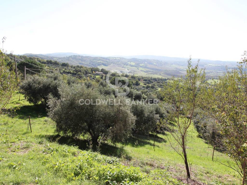 Casa indipendente a Manciano in Località Poggio Murella, 133 - Foto 4