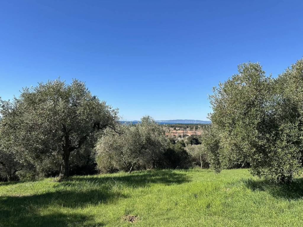 Terreno a Follonica - Foto 2