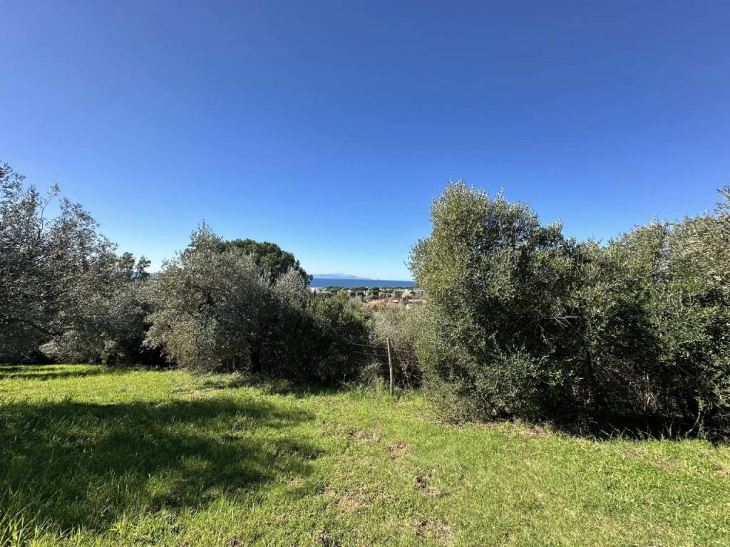 Terreno a Follonica - Foto 3