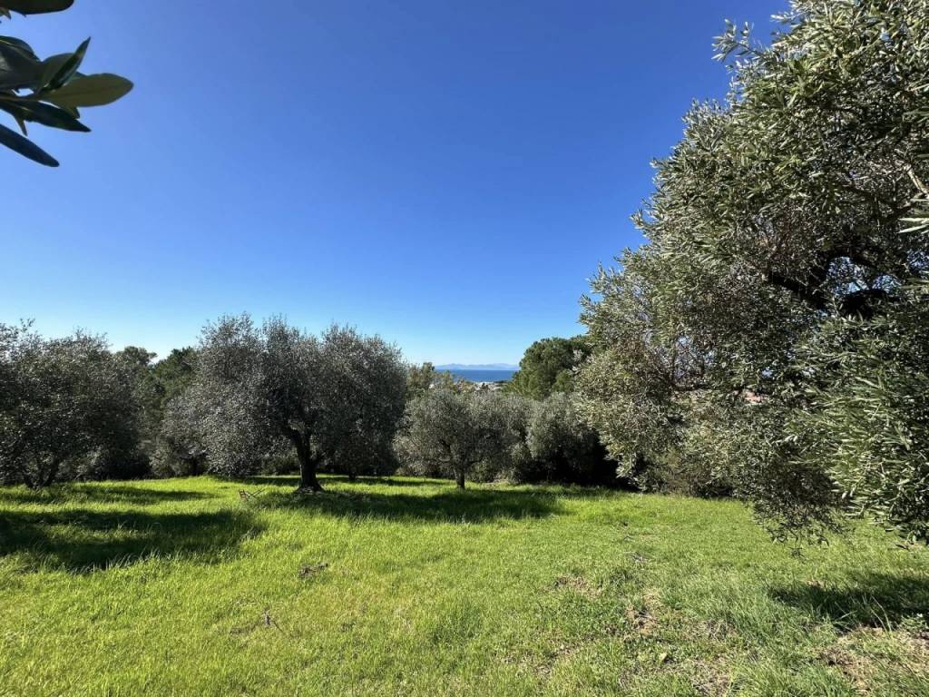 Terreno a Follonica - Foto 5