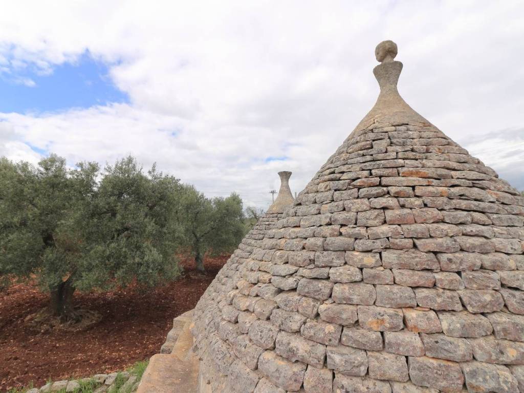 Rustico / casale a Ostuni in Contrada Chiobbica - Foto 3