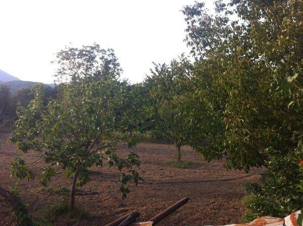 Rustico / casale a Caiazzo - Foto 3