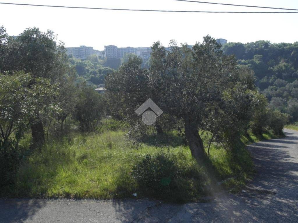 Terreno a Vasto in Via Alessandro III - Foto 3