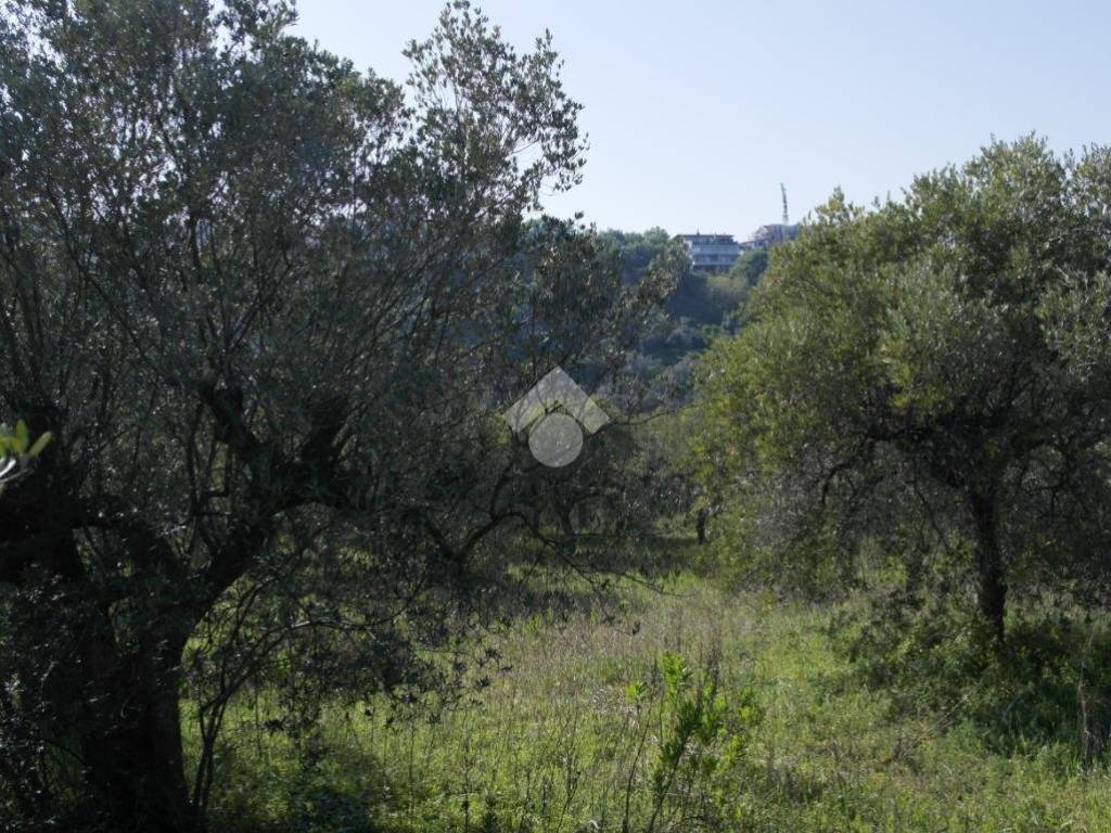 Terreno a Vasto in Via Alessandro III - Foto 4