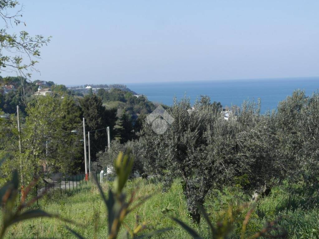 Terreno a Vasto in Via Alessandro III - Foto 5