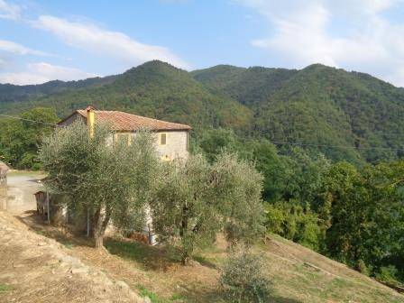 Rustico / casale a Villa basilica in via provinciale 35 - Foto 4