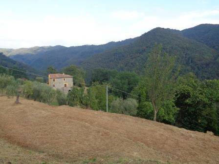 Rustico / casale a Villa basilica in via provinciale 35 - Foto 5