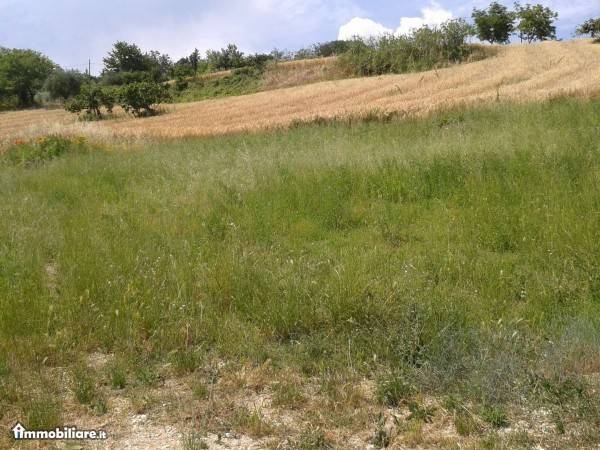 Terreno a Teramo in Strada Provinciale 50 - Foto 3