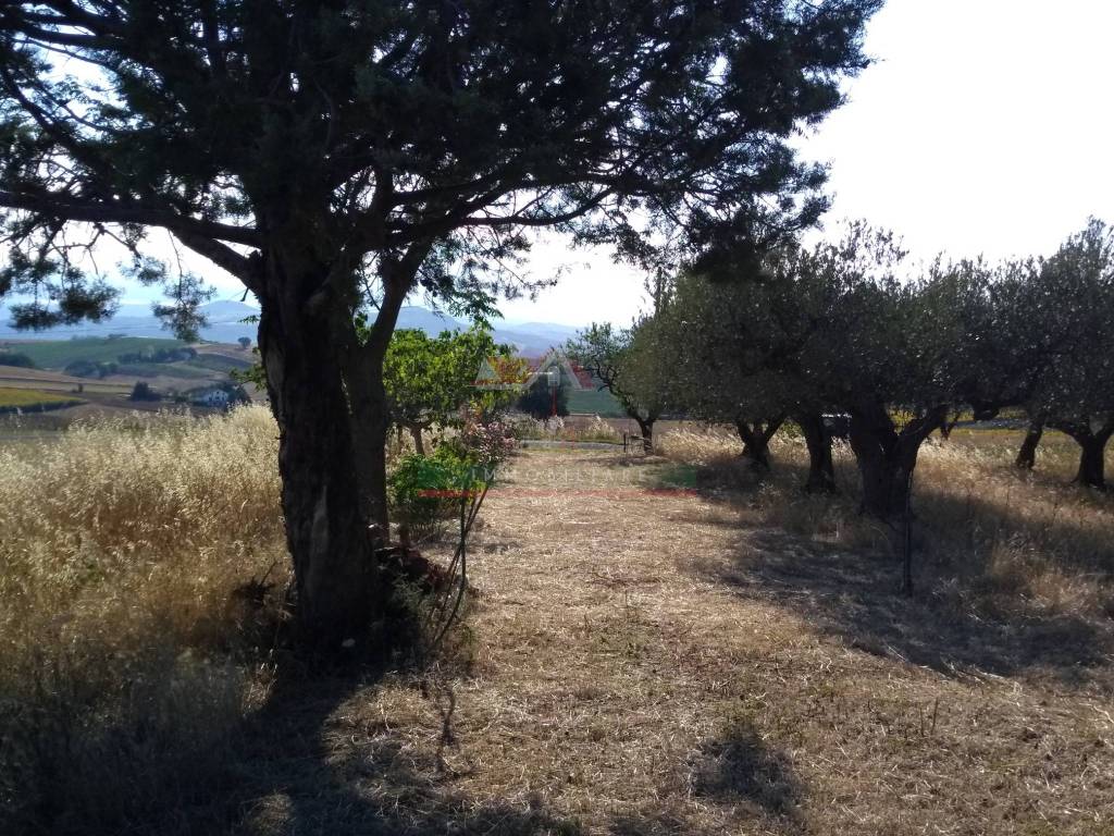 Rustico / casale a Montenero di bisaccia in Contrada Pozzo Sterparo - Foto 2