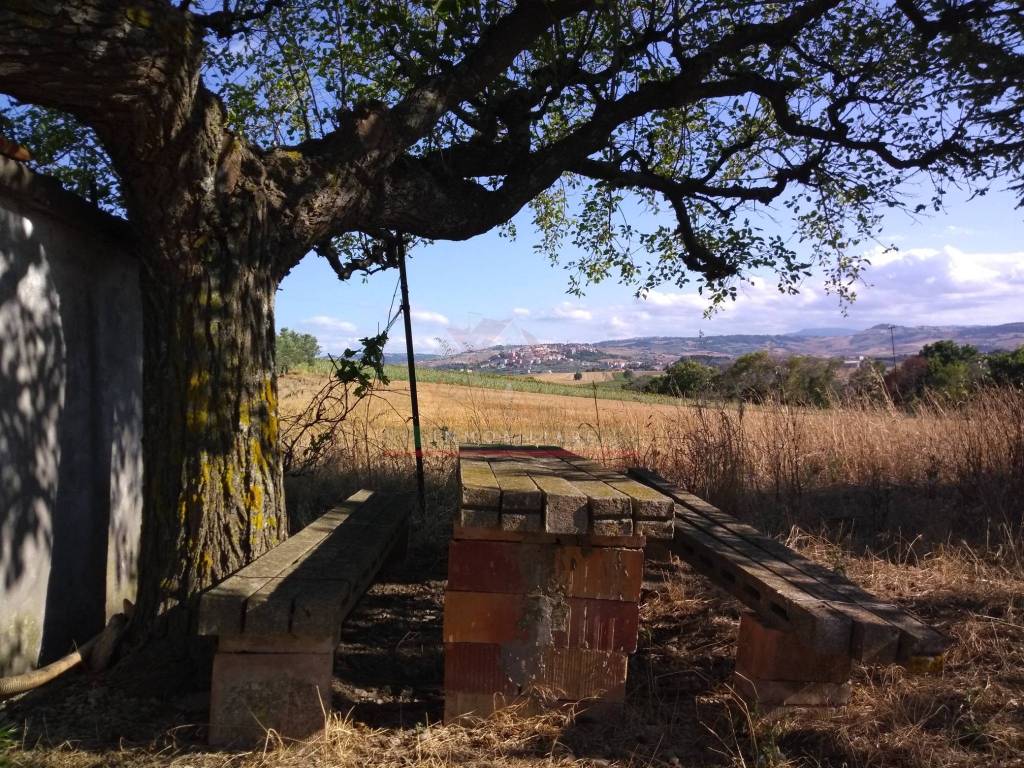 Rustico / casale a Montenero di bisaccia in Contrada Pozzo Sterparo - Foto 3