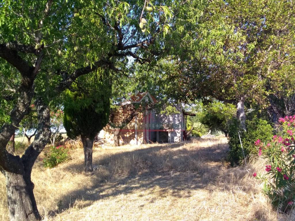 Rustico / casale a Montenero di bisaccia in Contrada Pozzo Sterparo - Foto 4