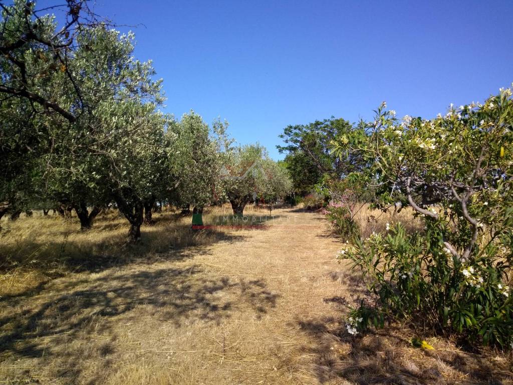 Rustico / casale a Montenero di bisaccia in Contrada Pozzo Sterparo - Foto 5
