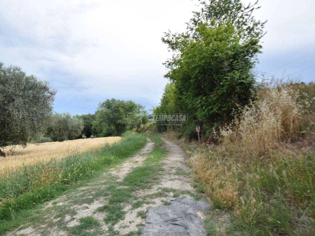 Terreno a Senigallia in Strada di Montedoro - Foto 2