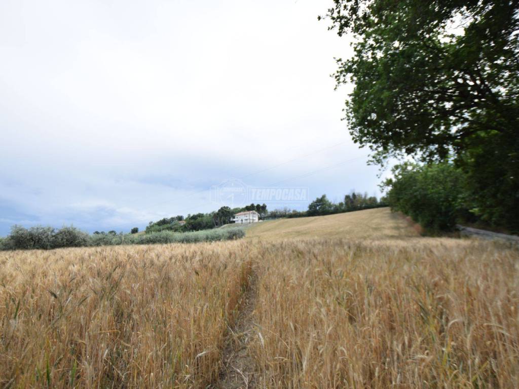 Terreno a Senigallia in Strada di Montedoro - Foto 3