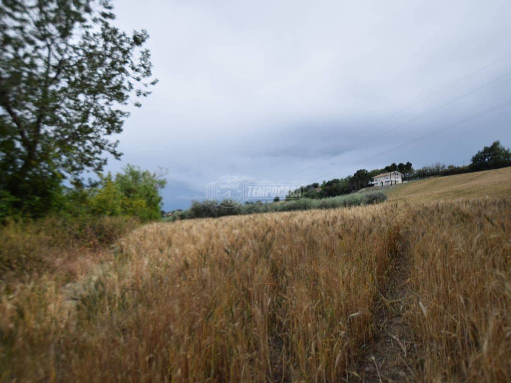 Terreno a Senigallia in Strada di Montedoro - Foto 4